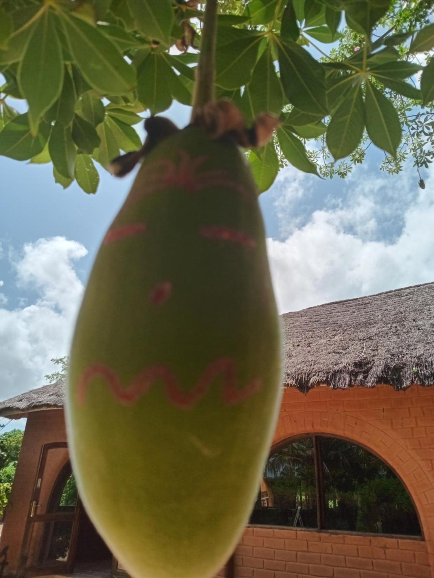 Baobab Lodge Fadial Exterior foto