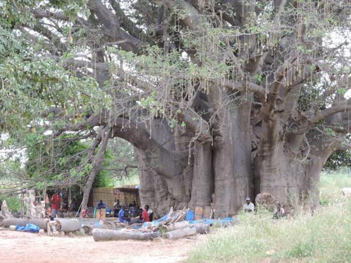 Baobab Lodge Fadial Exterior foto